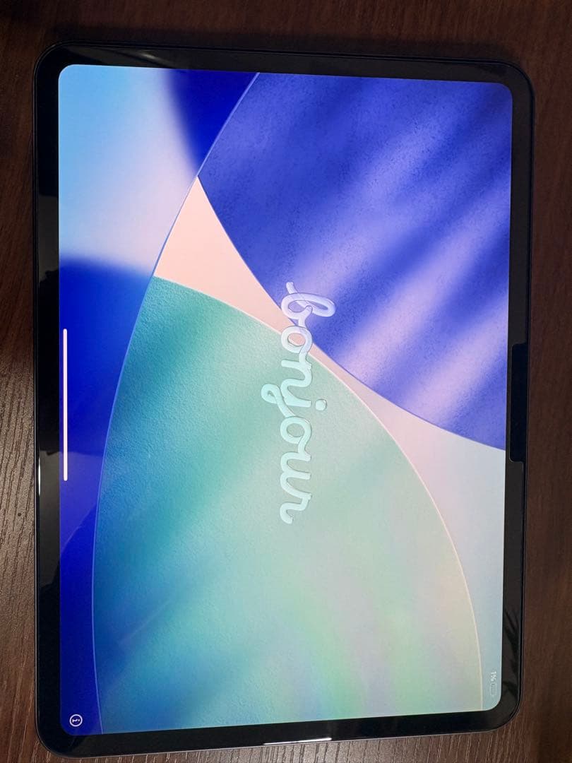 美品　iPad Pro M4 11インチ　512GB