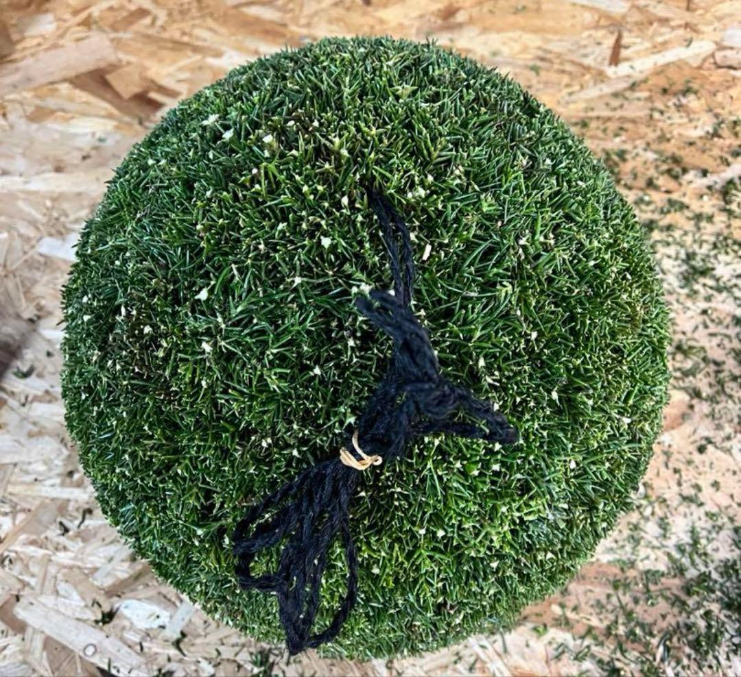 杉玉　約40センチ‼️縁起物　丸くて幸せ　家族円満♪