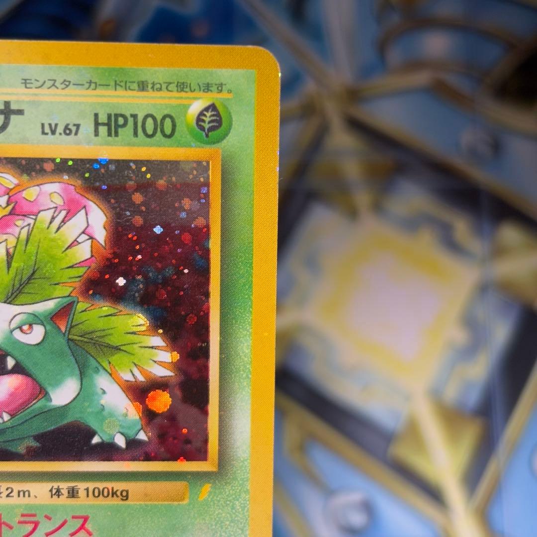 【全ホロ強】フシギバナ_「とりかえっこプリーズ」 キャンペーンカード