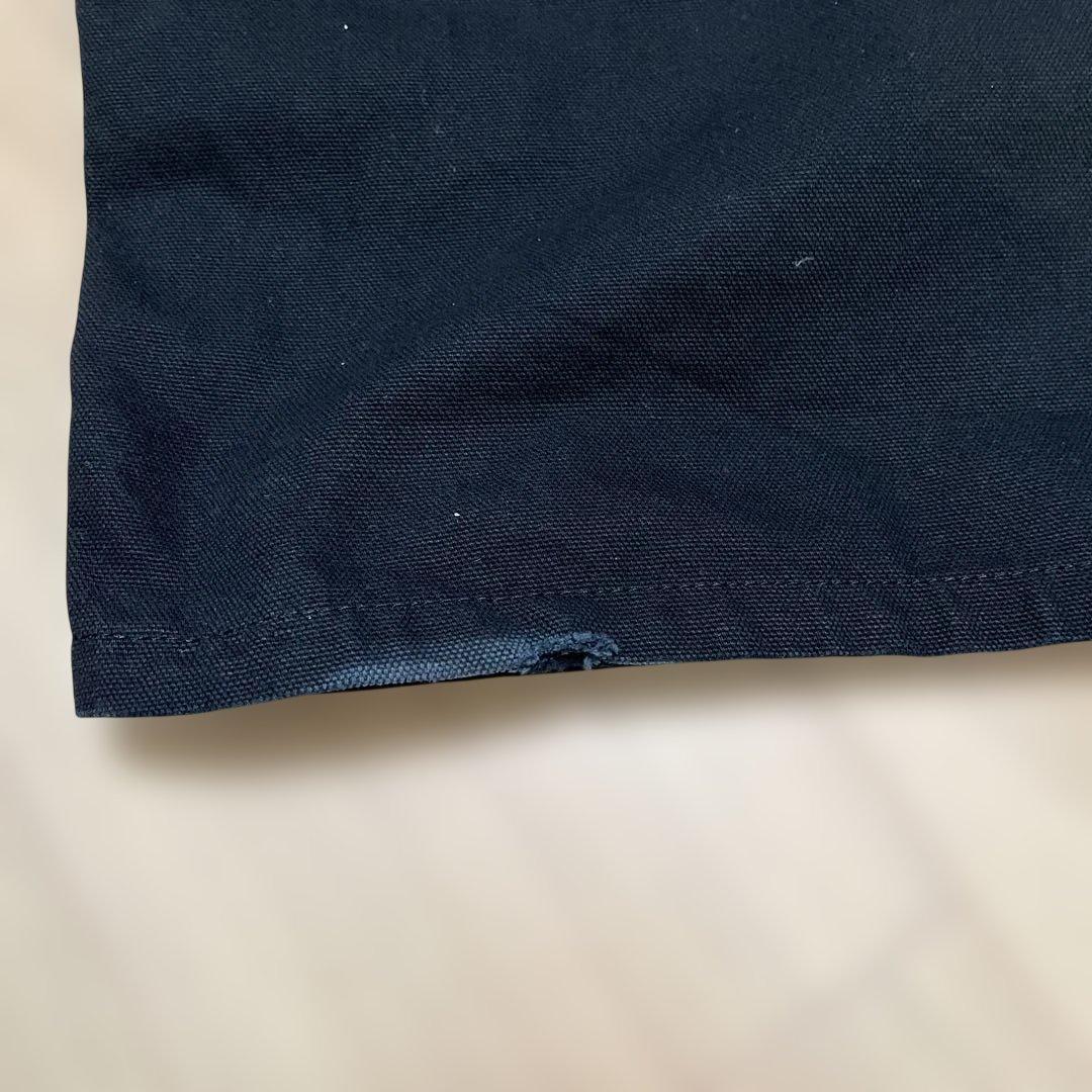 sacai Carhartt WIP Duck Pants ダブルニー