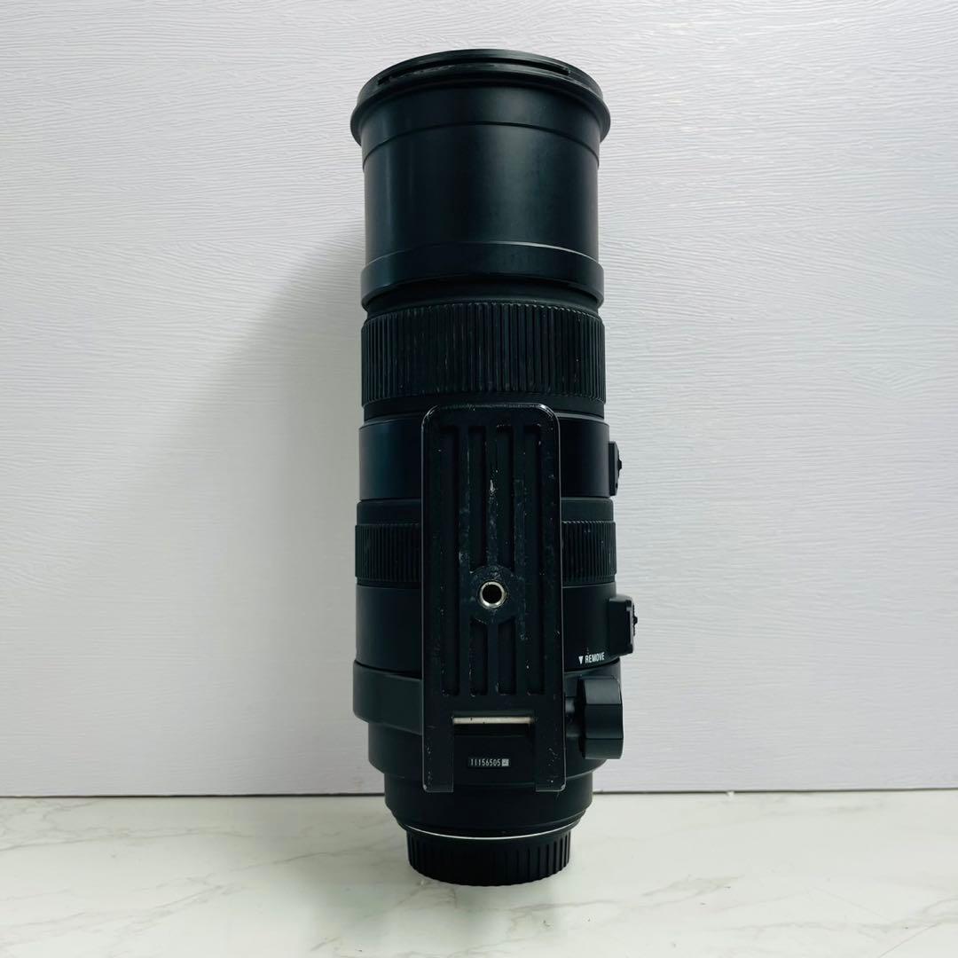 SIGMA シグマ APO 150-500mm F5-6.3 DG OS HSM