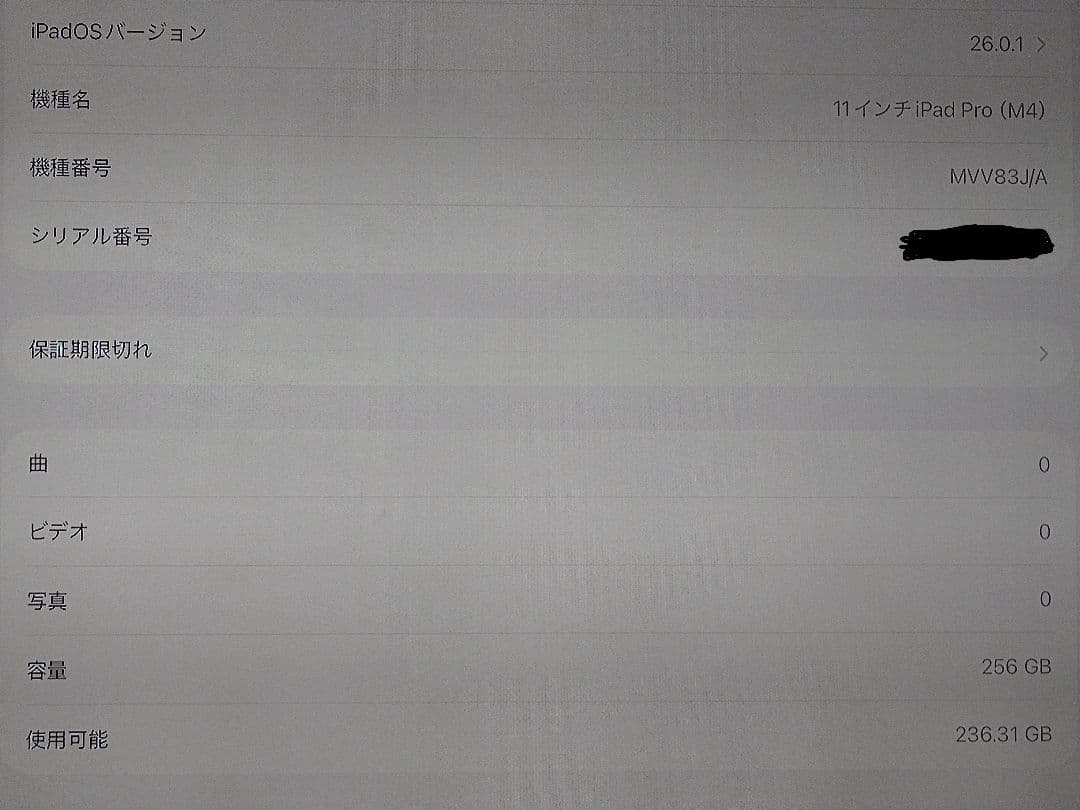 iPad Pro m4 11インチ 256GB ジャンク品