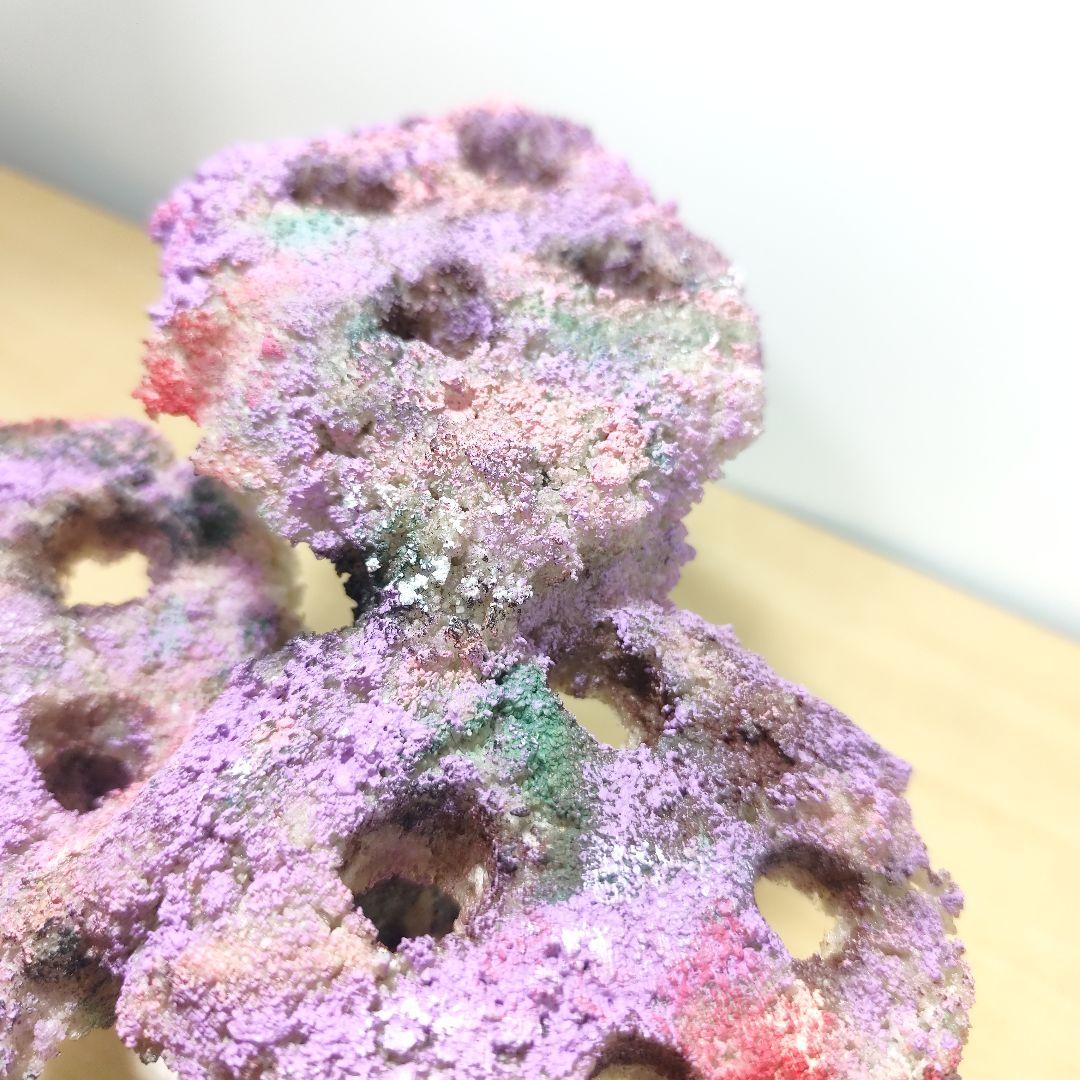 プラグ穴付き アク抜き不要人工ライブロック 海水水槽 レプリカ コーラルフラグ4