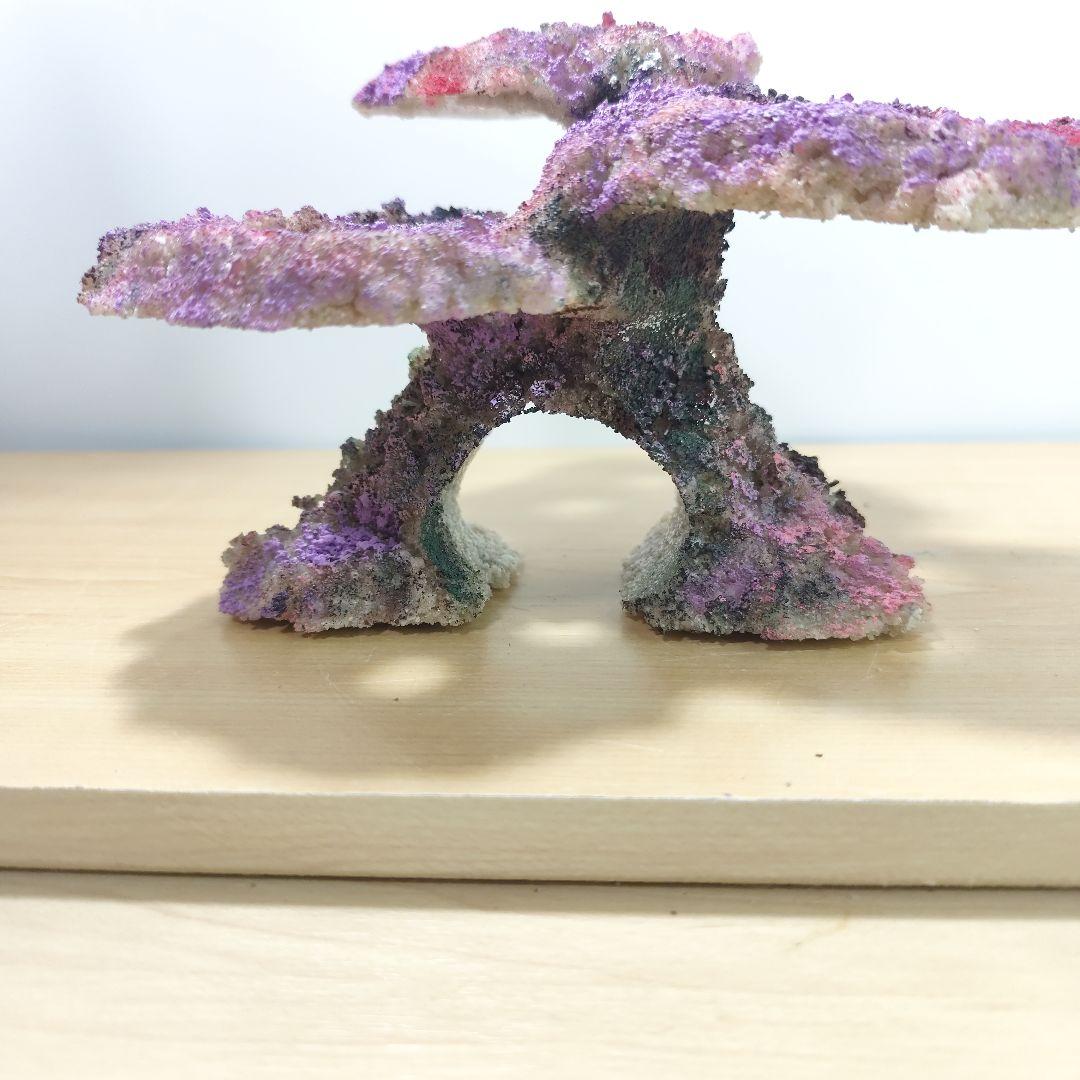 プラグ穴付き アク抜き不要人工ライブロック 海水水槽 レプリカ コーラルフラグ4