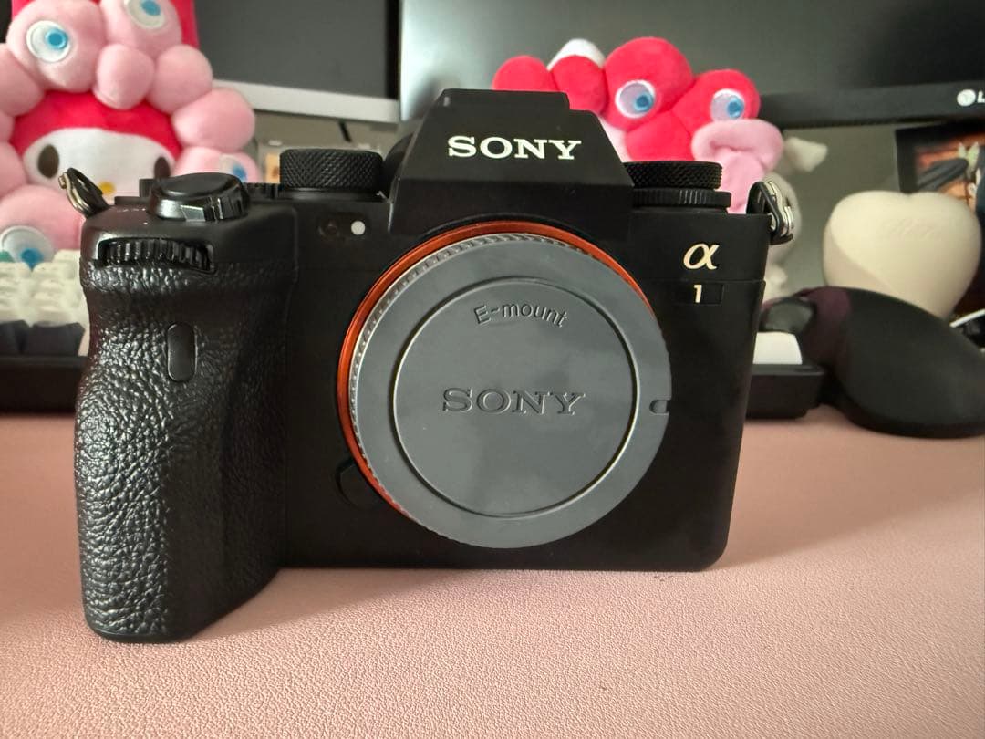 SONY(ソニー) α1ボディ