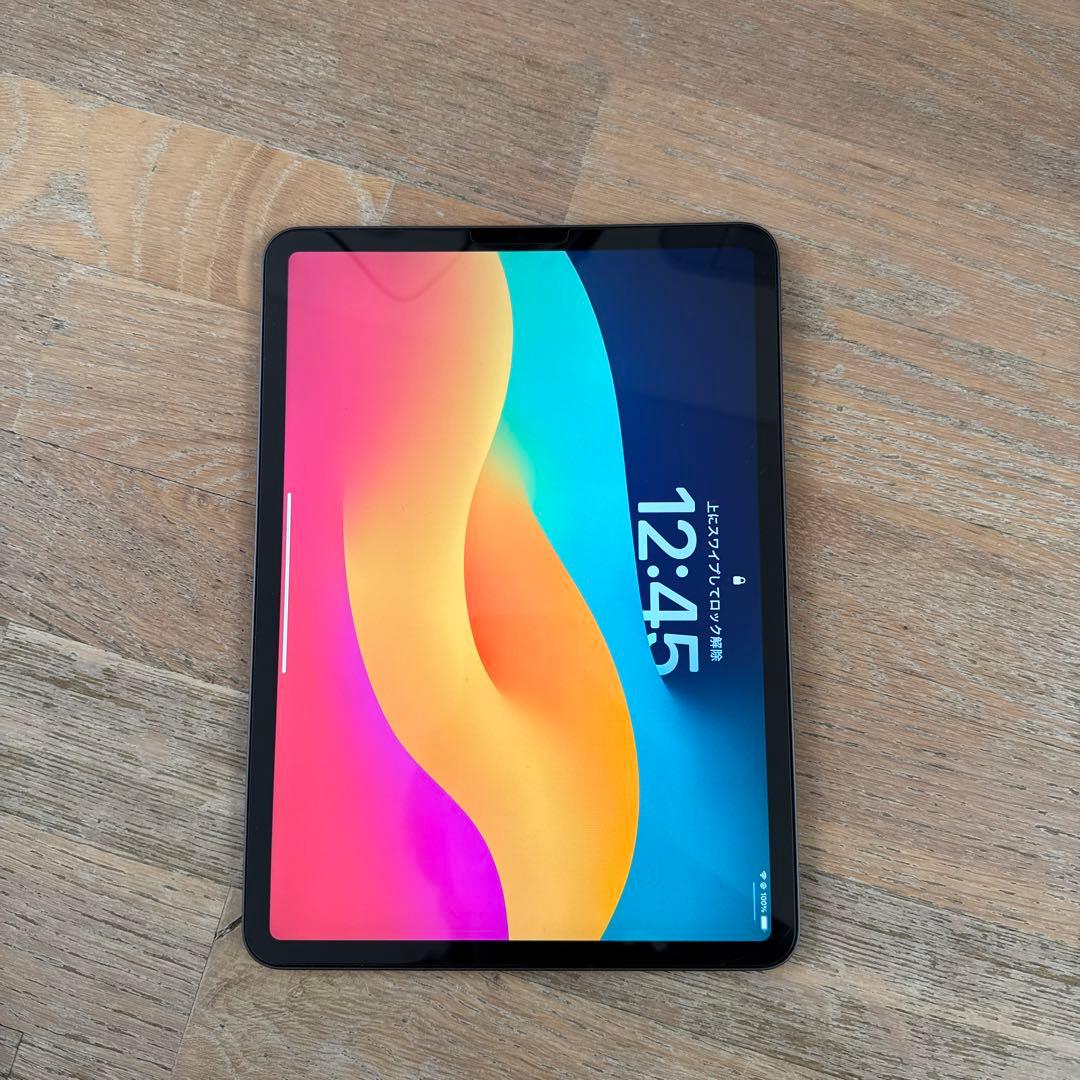 Apple iPad Pro 第二世代11インチ スペースグレー 本体