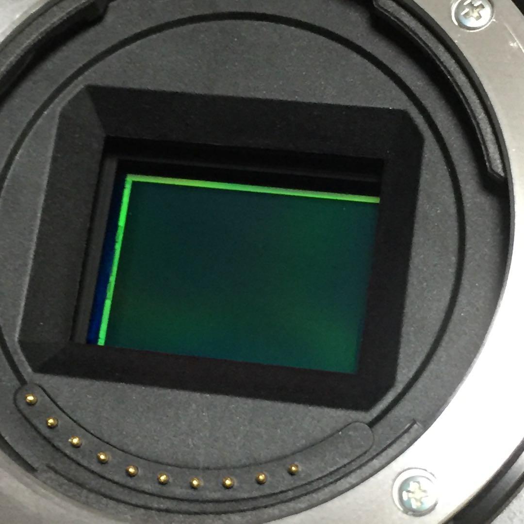 すぐ使える★付属品多数★Wi-Fi★高画質★SONY★α6000★カバー付き