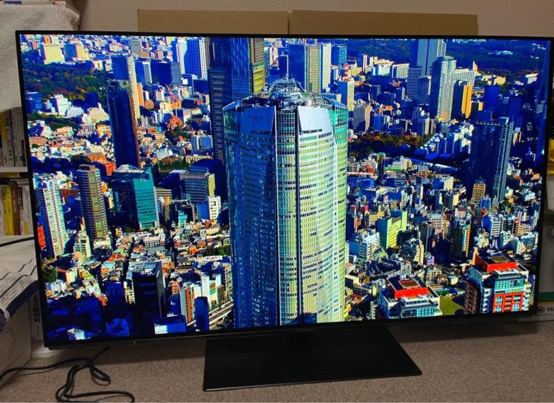 【新品パネル】55型有機ELテレビ/Panasonic/TH-55FZ950