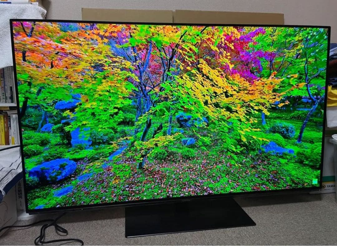 【新品パネル】55型有機ELテレビ/Panasonic/TH-55FZ950