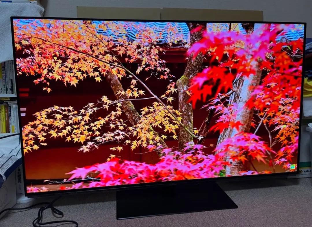 【新品パネル】55型有機ELテレビ/Panasonic/TH-55FZ950