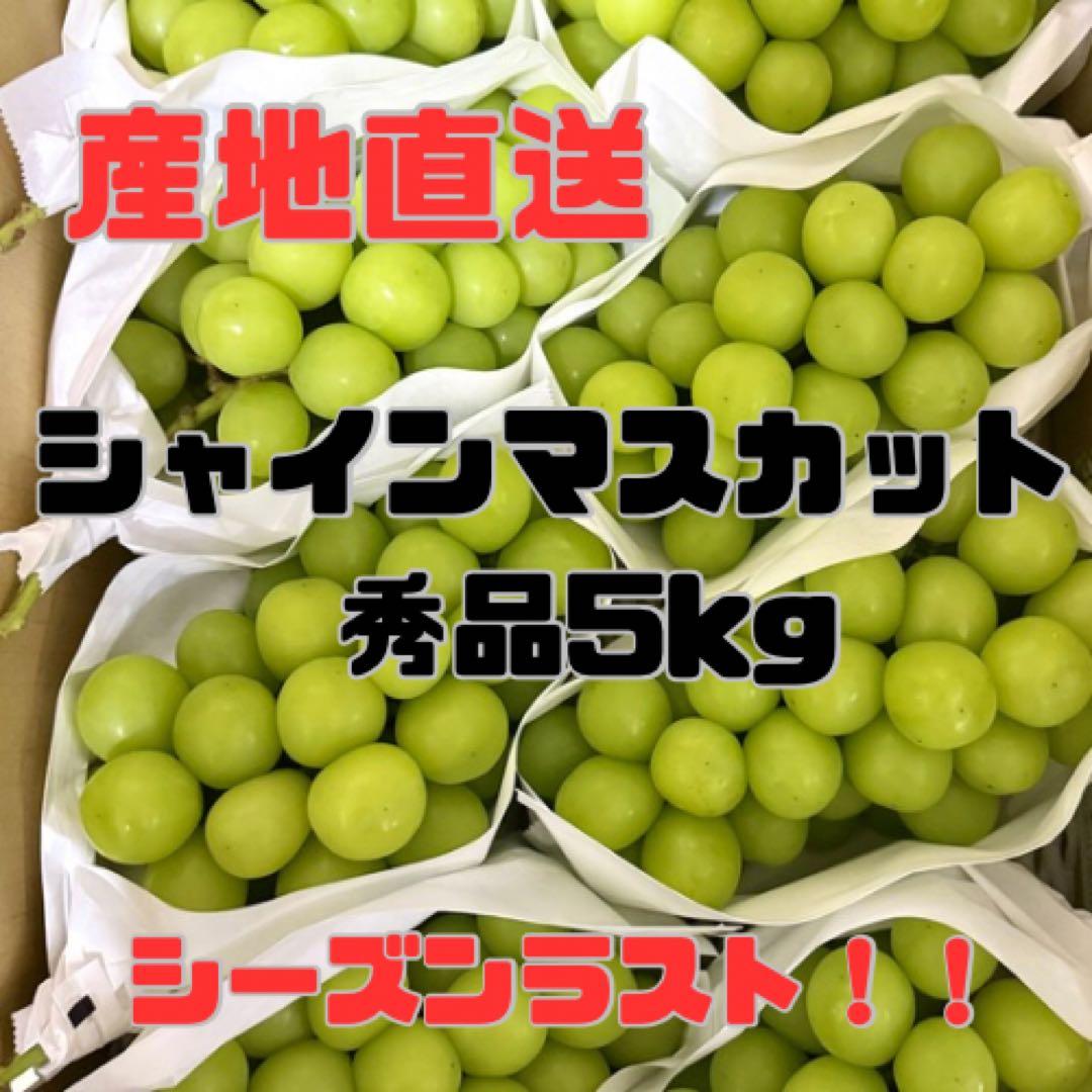 早い者勝ち！最後の最後！残り1箱！14日発送！山梨県産シャインマスカット5kg