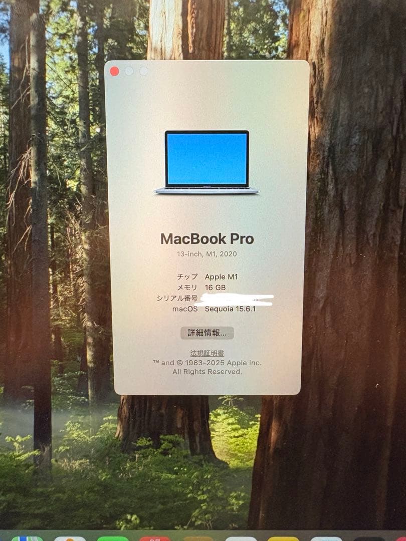 MacBook Pro m1 13インチ　2020年
