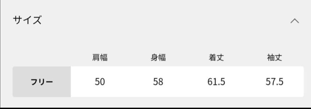 【YURIN】完売品　AUTRY/オートリー　HOODIE