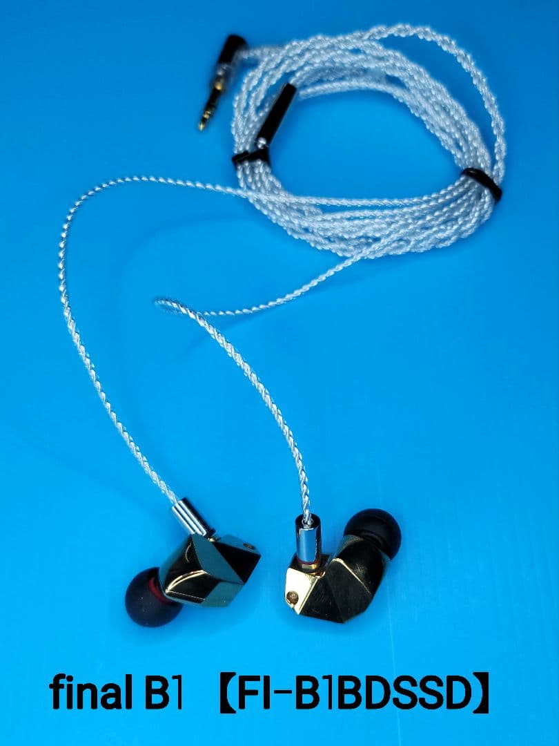 final B1 【FI-B1BDSSD】シルバーコートケーブル