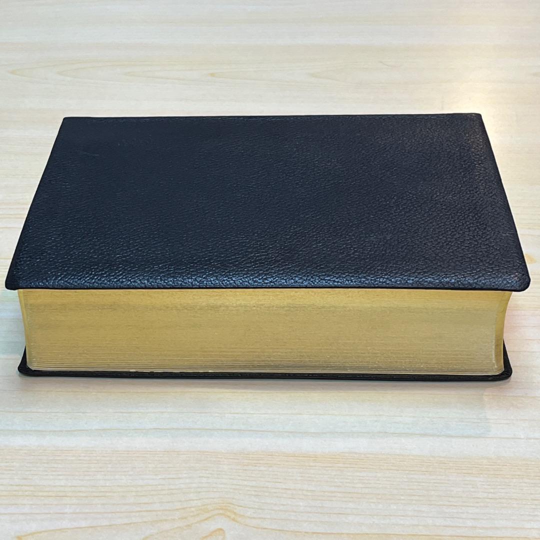 聖書 聖書協会共同訳 SI58 総革装 中型