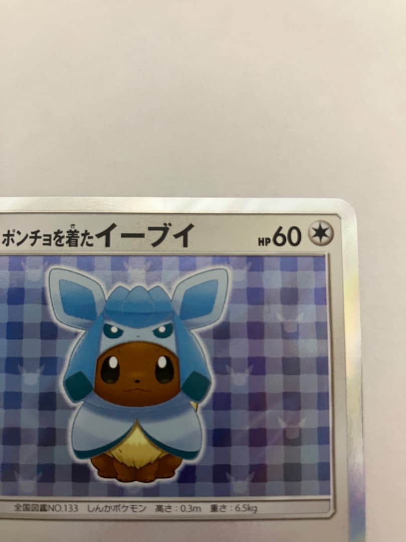 P*s様 ポンチョを着たイーブイ　グレイシアバージョン