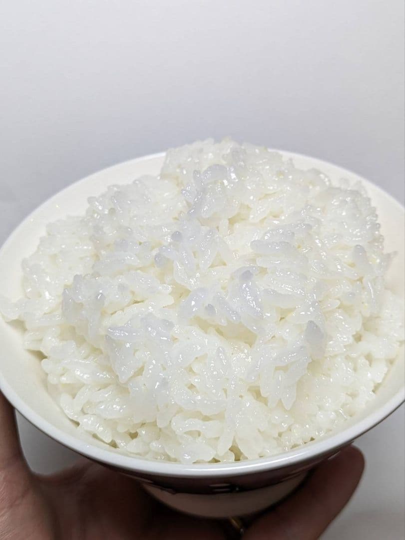 専用ページ　10kg×2