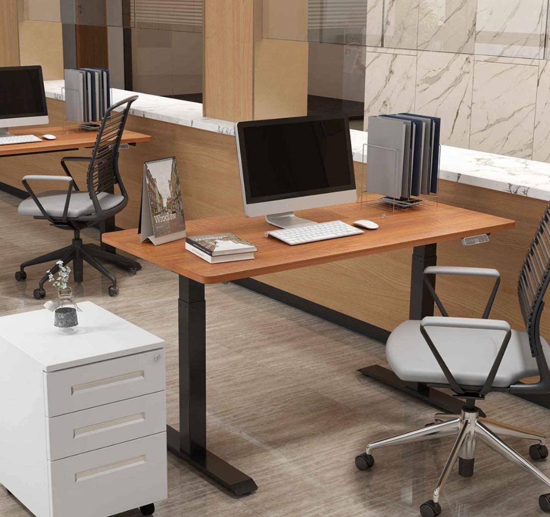 FLEXISPOT スタンディングデスク 電動式昇降デスク EJ2 ※天板無し