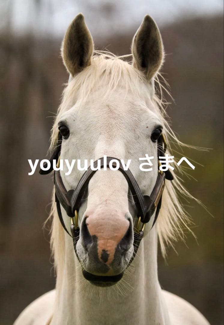 youyuulov さま 専用