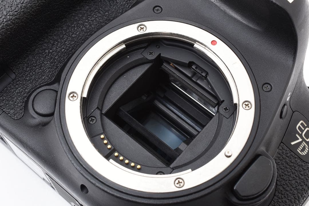 一眼レフカメラCanon EOS 7D MarkII標準&望遠ダブルレンズセット