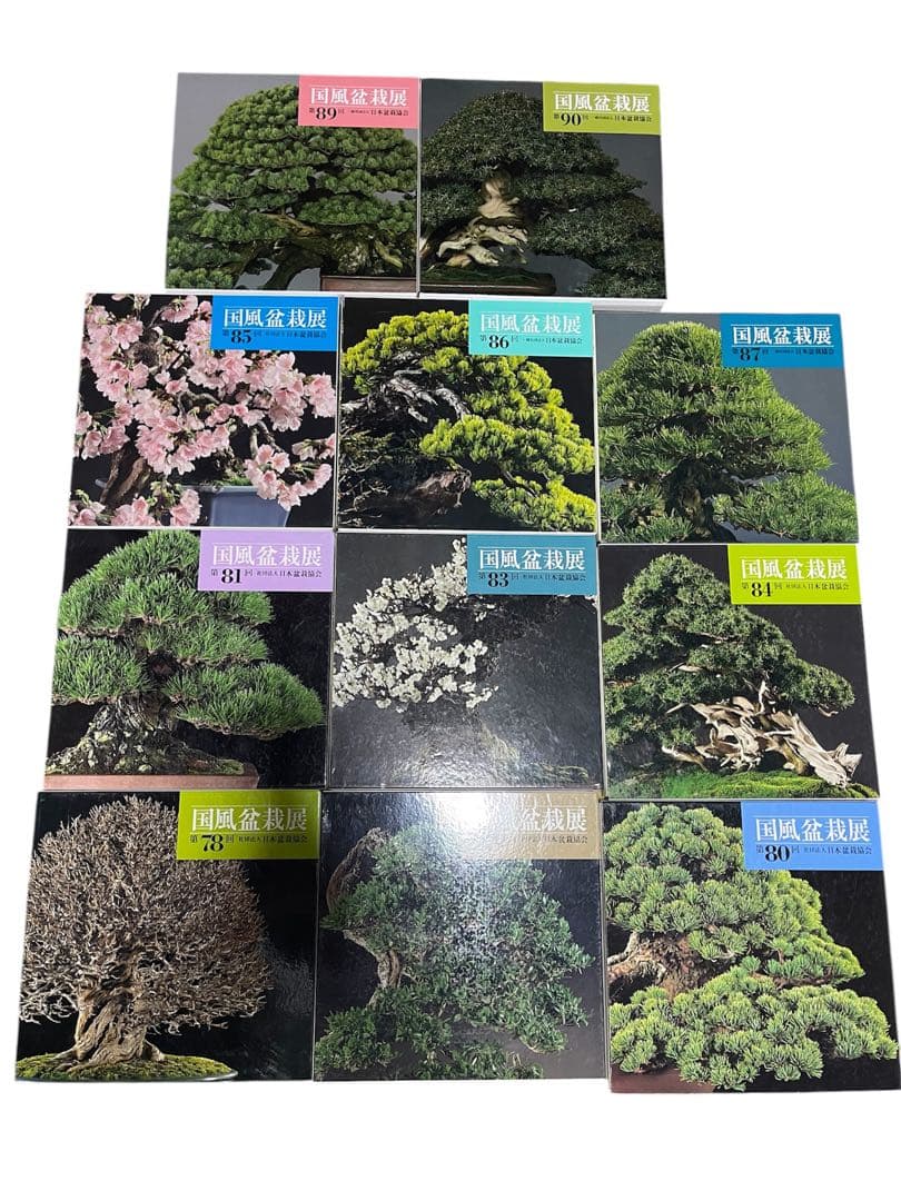 【超お買い得】国風盆栽展 コレクション 11冊　78〜90巻