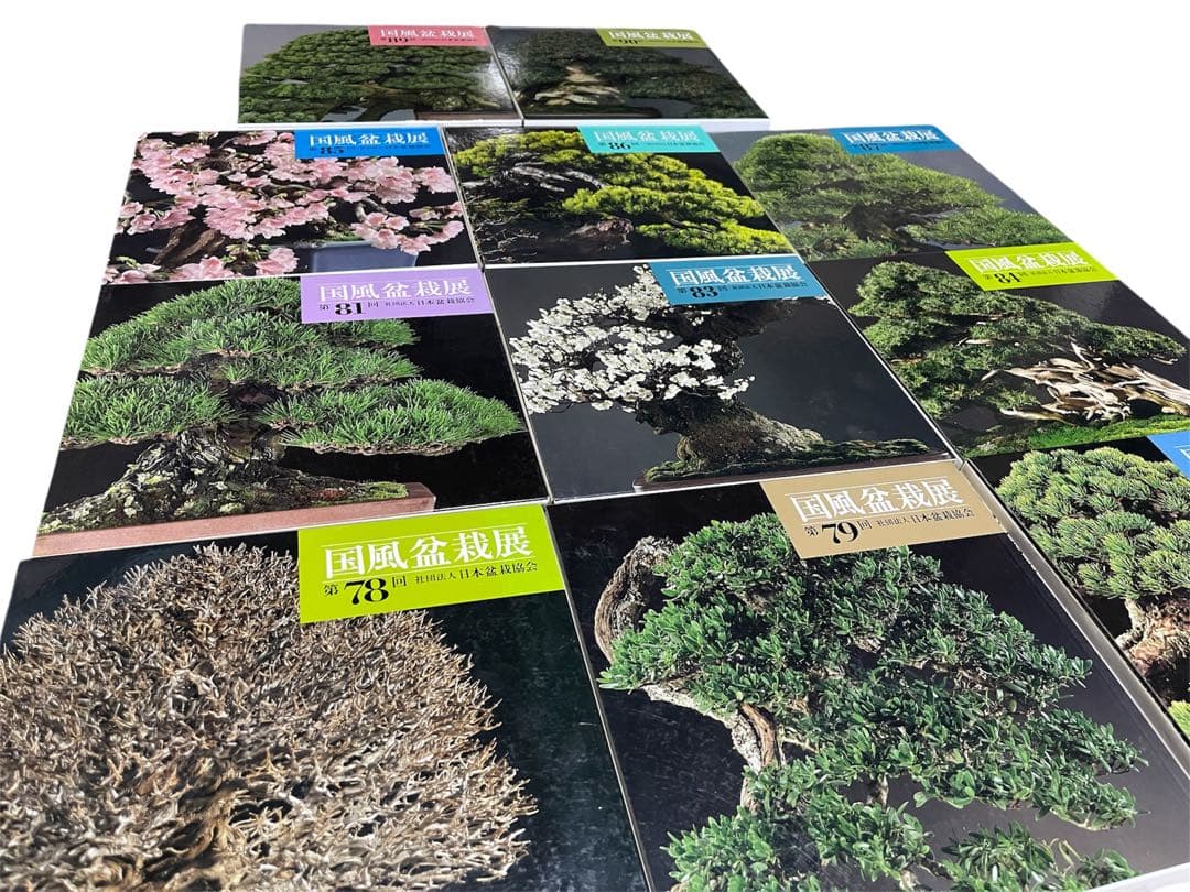 【超お買い得】国風盆栽展 コレクション 11冊　78〜90巻