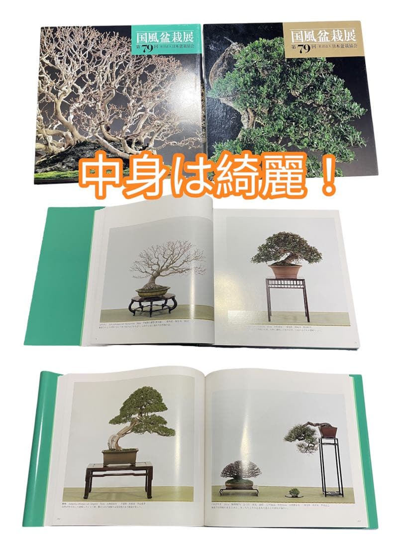 【超お買い得】国風盆栽展 コレクション 11冊　78〜90巻