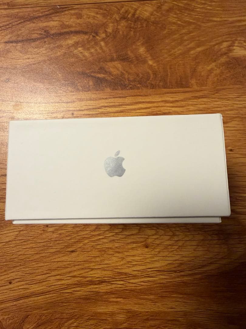 AirPods Pro2 Lightning版 正規品