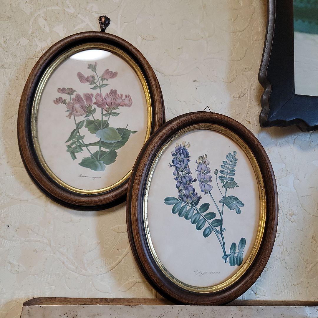 くれは様用です！！　ヴィンテージ　イタリア製　ボタニカルアート　2つ