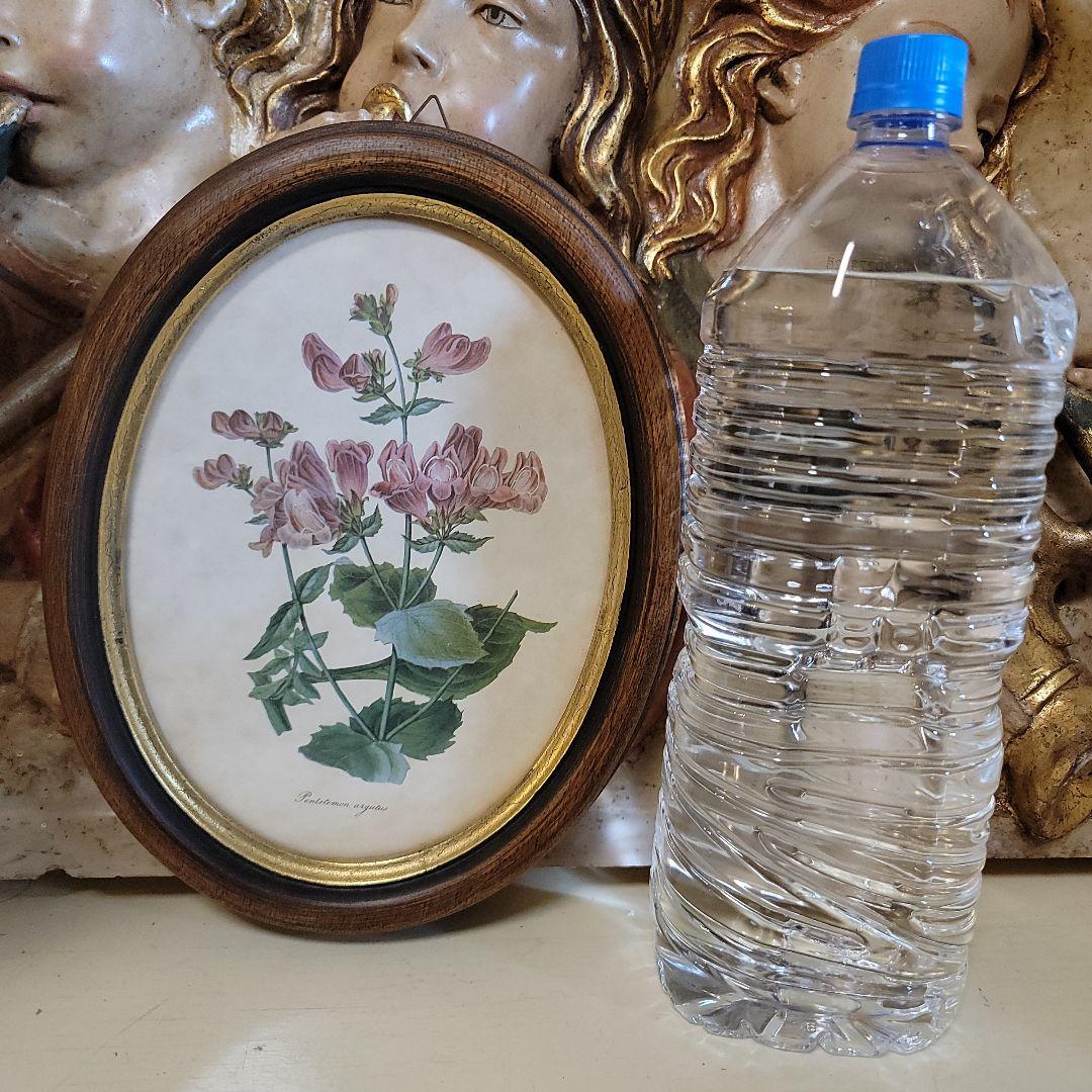 くれは様用です！！　ヴィンテージ　イタリア製　ボタニカルアート　2つ