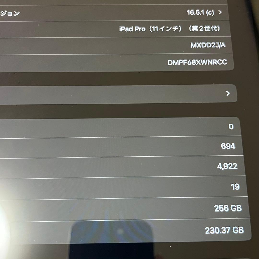 iPadPro 11インチ 第2世代 256GB