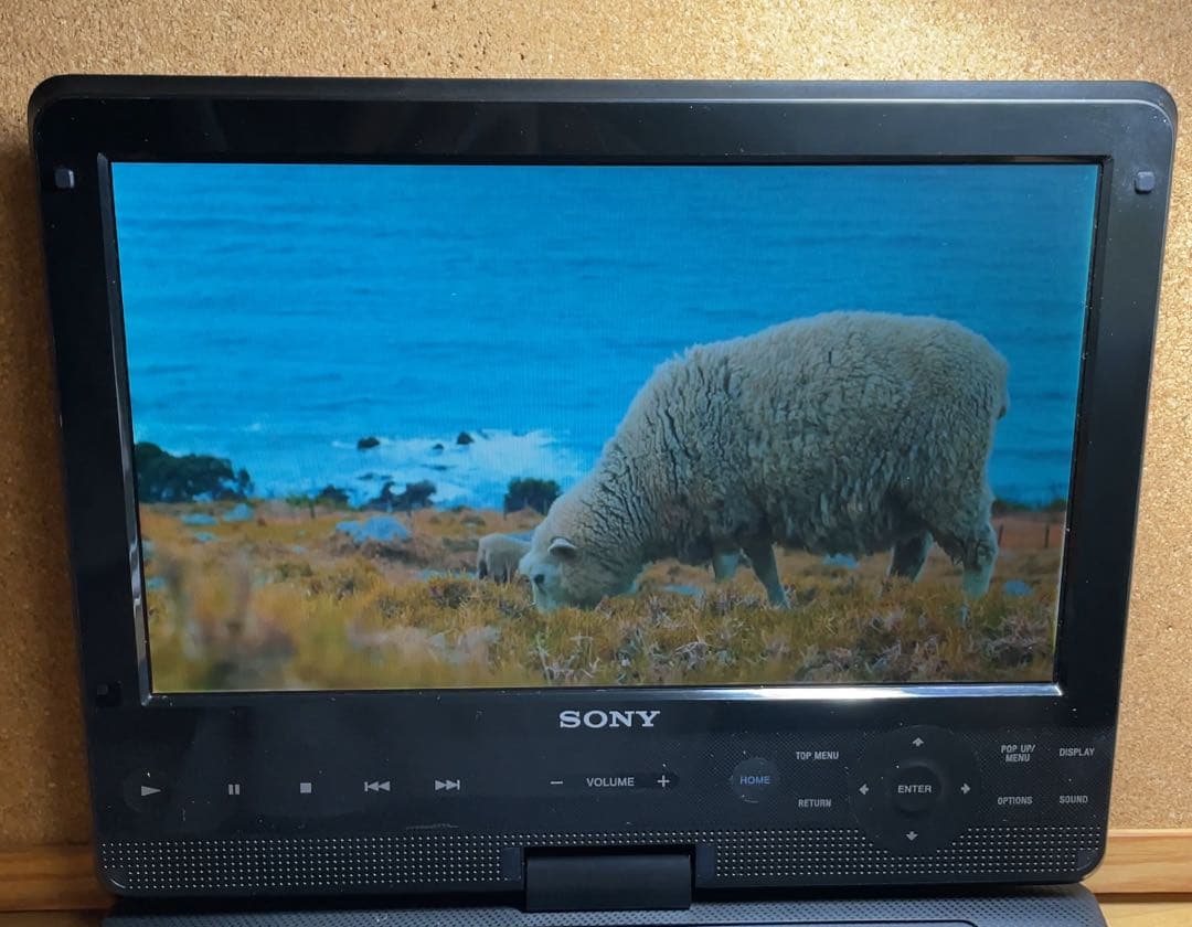 SONY 大画面ポータブルDVD・BD・Blu-ray・ブルーレイプレーヤー