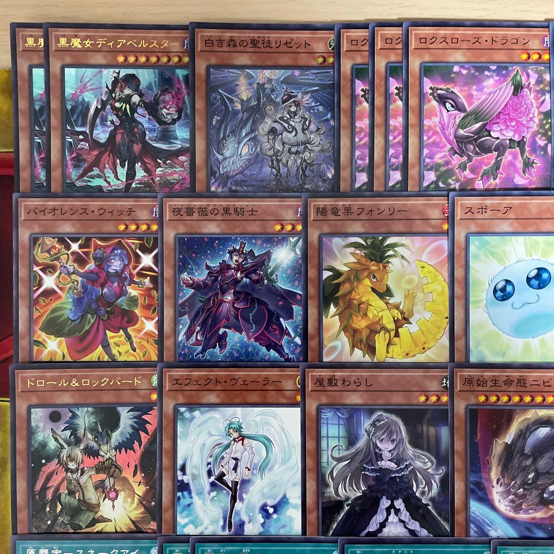 大会優勝構築 アザミナローズドラゴンデッキ レッドローズドラゴン 黒薔薇の破滅竜