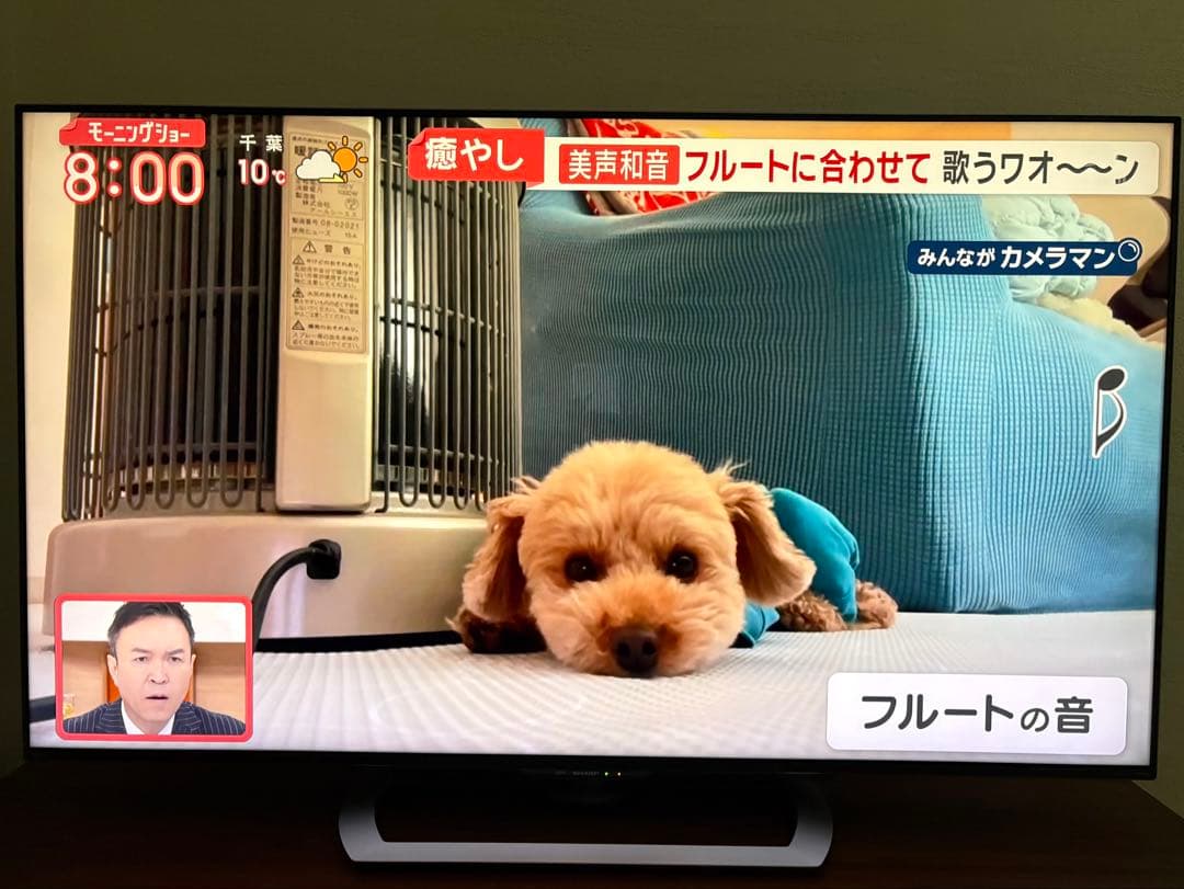 シャープ AQUOS 60インチ4K液晶テレビ LC-60US40 2016年★