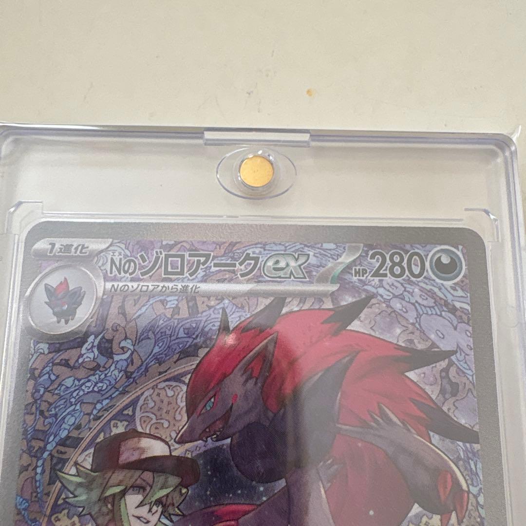 ポケモンカード Nのゾロアーex SAR