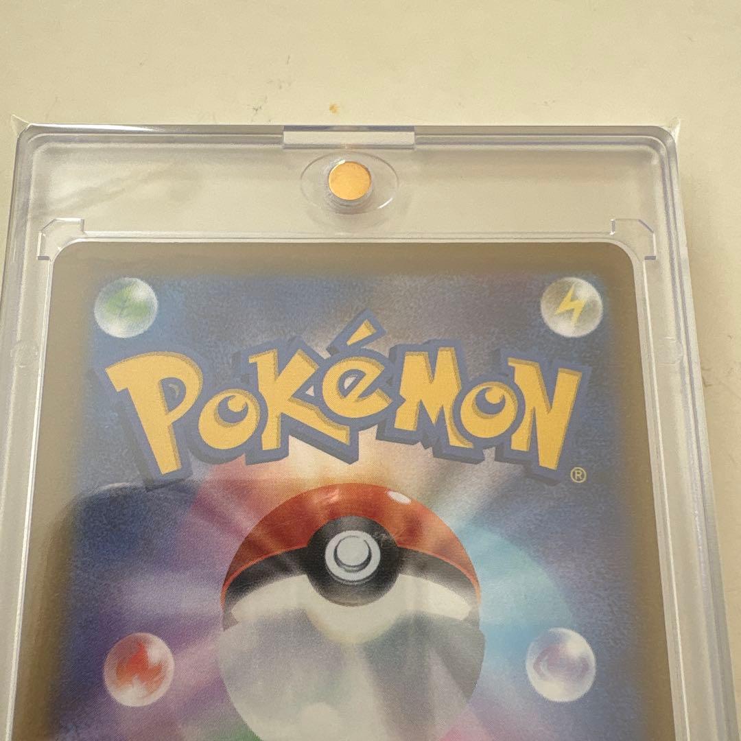 ポケモンカード Nのゾロアーex SAR