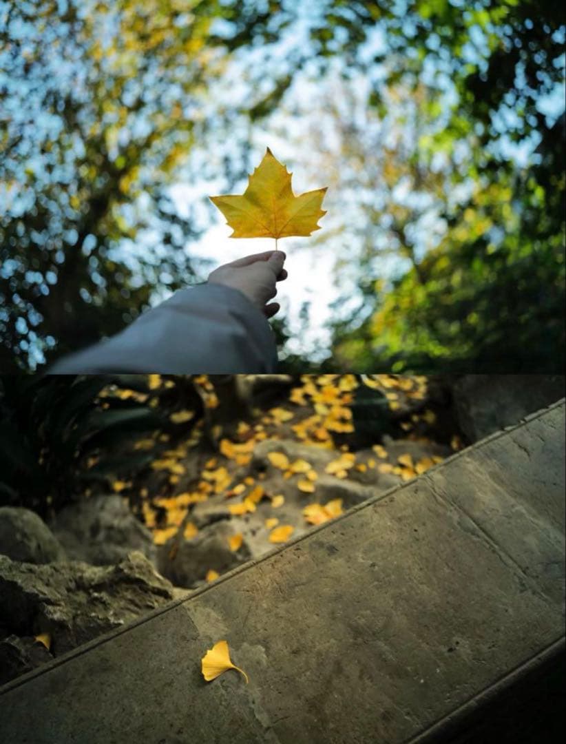 新品Leica M 七枚玉復刻 mandler 35mm F2 m6 m7 mp