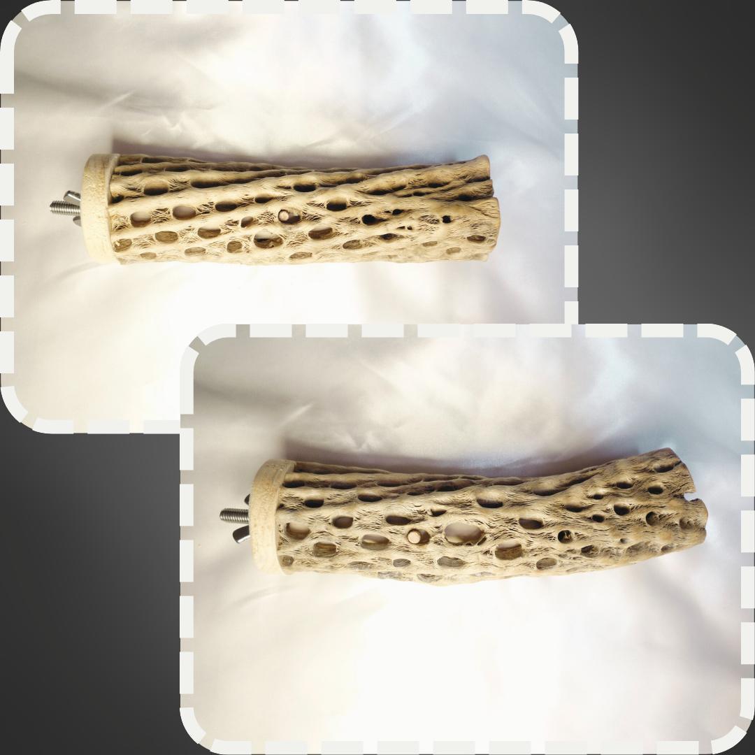 R　止まり木　カクタス　スケルトン　パーチおまとめ5本