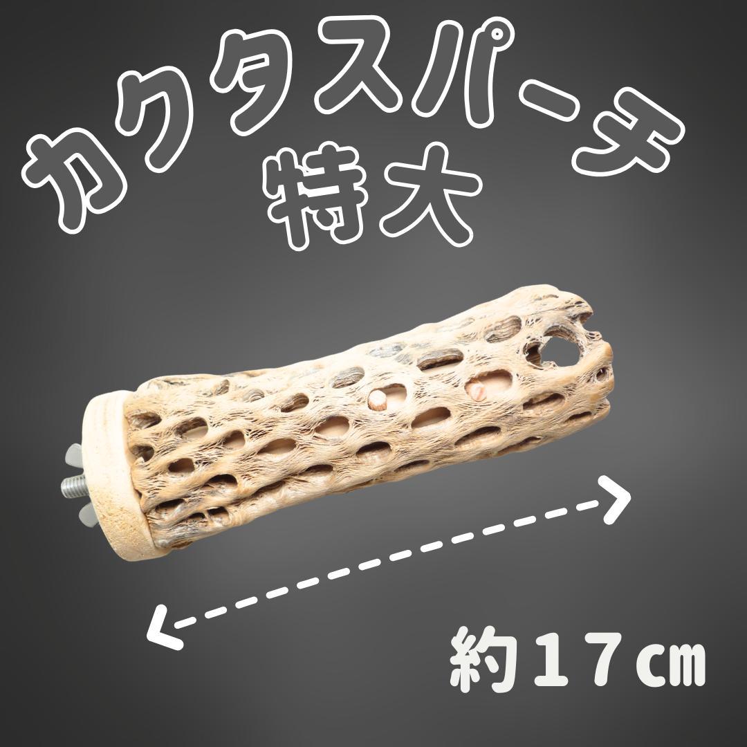 R　止まり木　カクタス　スケルトン　パーチおまとめ5本