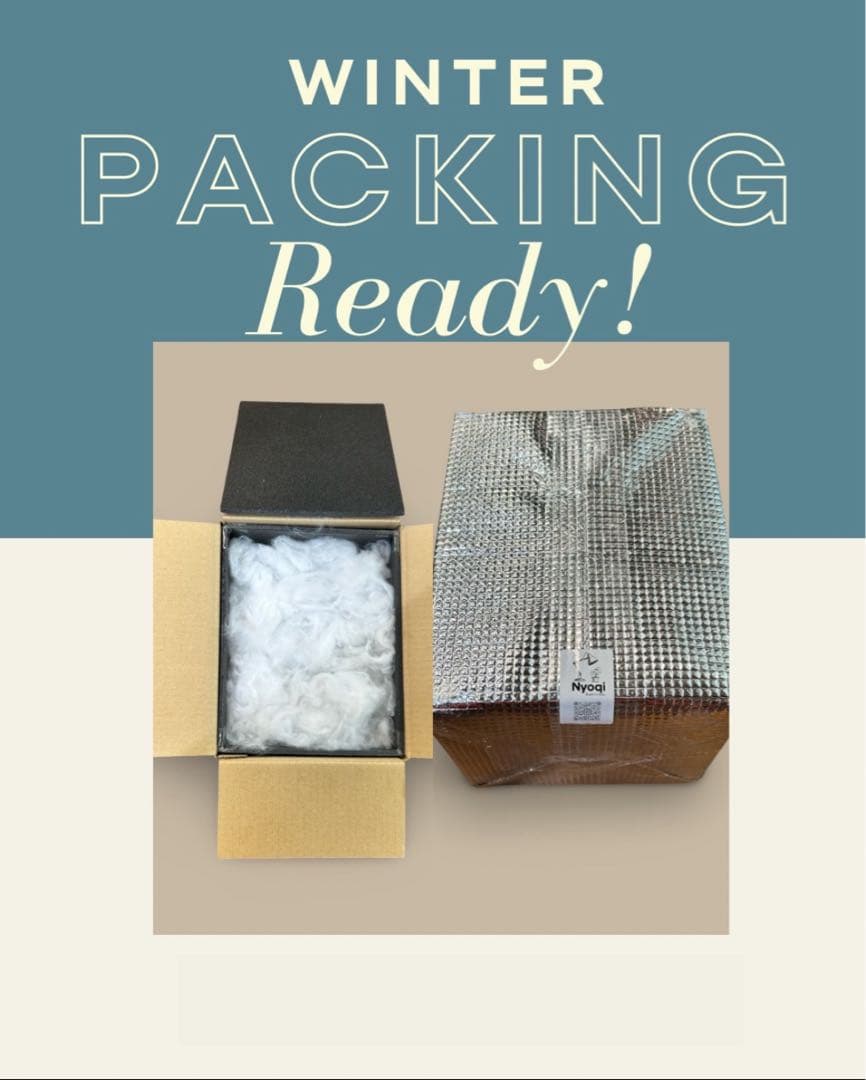 ビカクシダ P. Willinckii Jade Girl sporeling