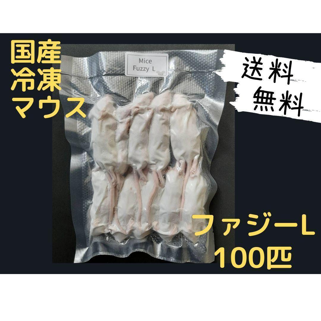 国産 冷凍マウス ファジー L 100匹 (送料無料一部地域発送不可)