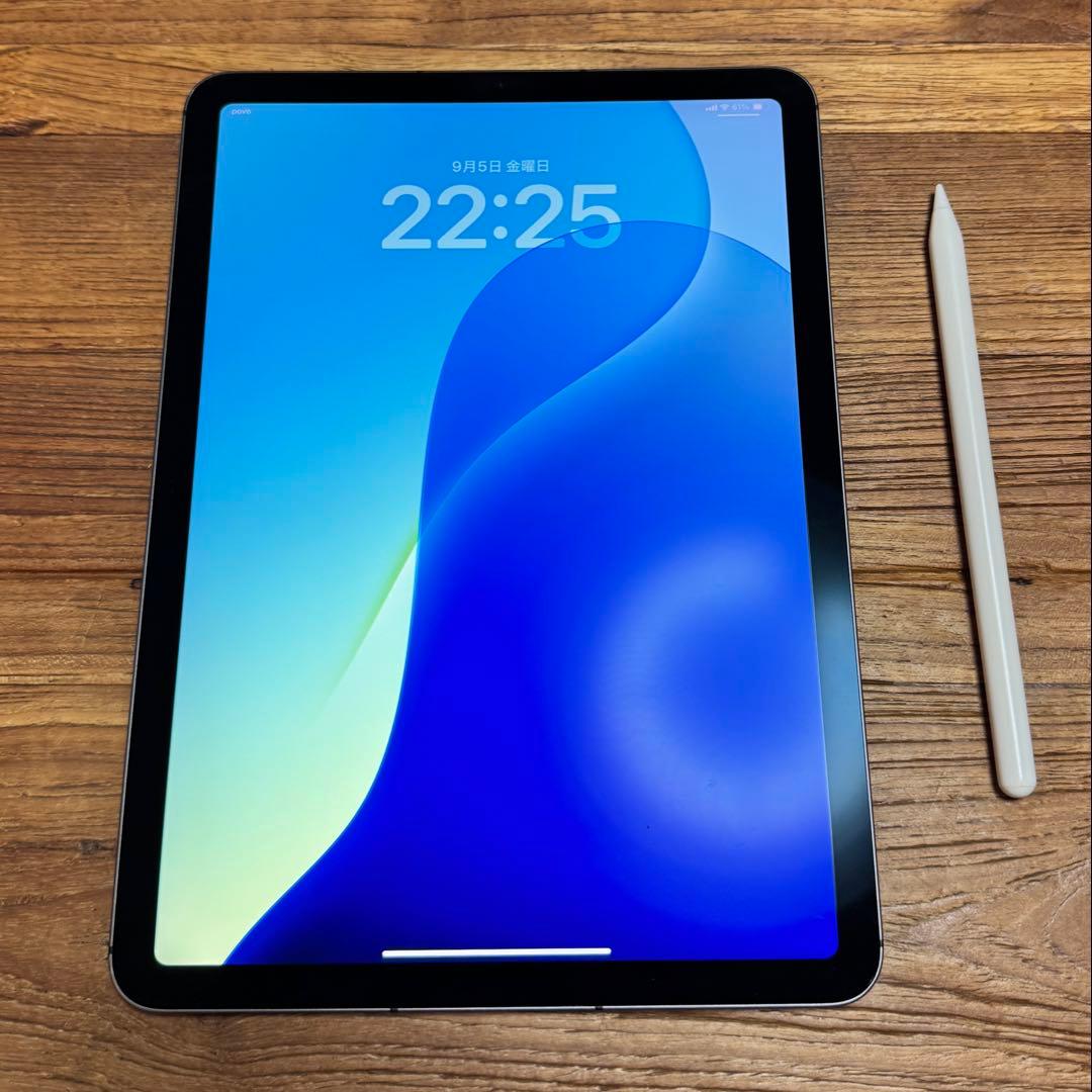 iPad Air セルラーモデル 256GB SIMフリー PEN付き