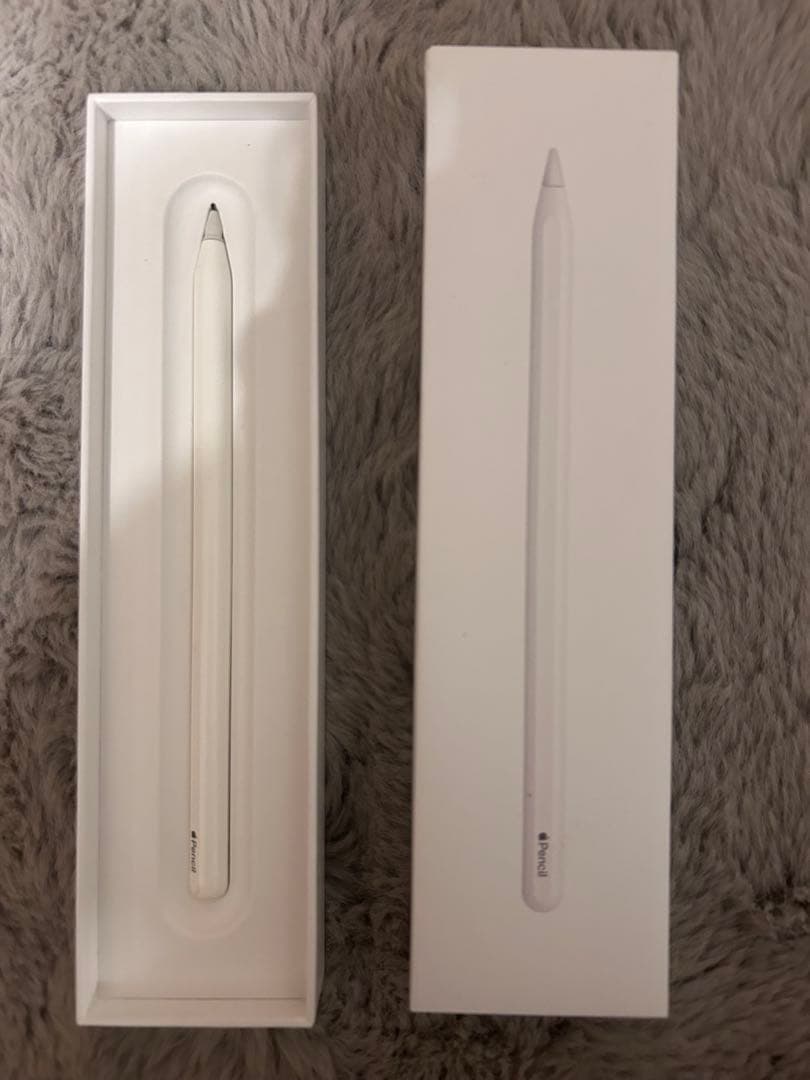 iPad Pro（第４世代）256GB Wi-Fiモデル