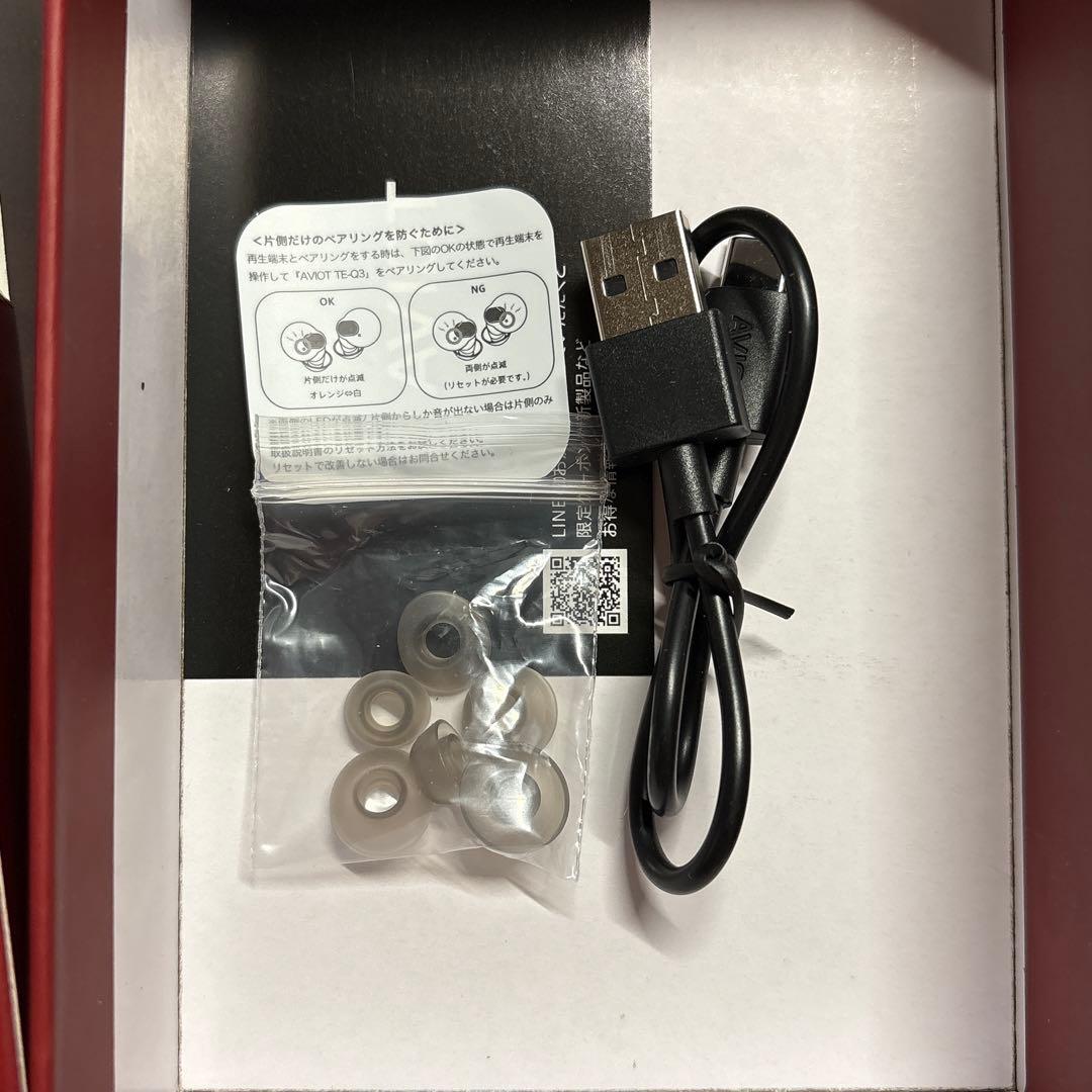 AVIOT TE-Q3-LRN ローレン・イロアスコラボモデル