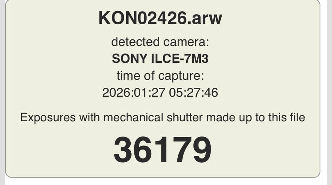 SONYα7IIIミラーレス一眼➕おまけNikon（ニコン）D40(レンズ✖️2)