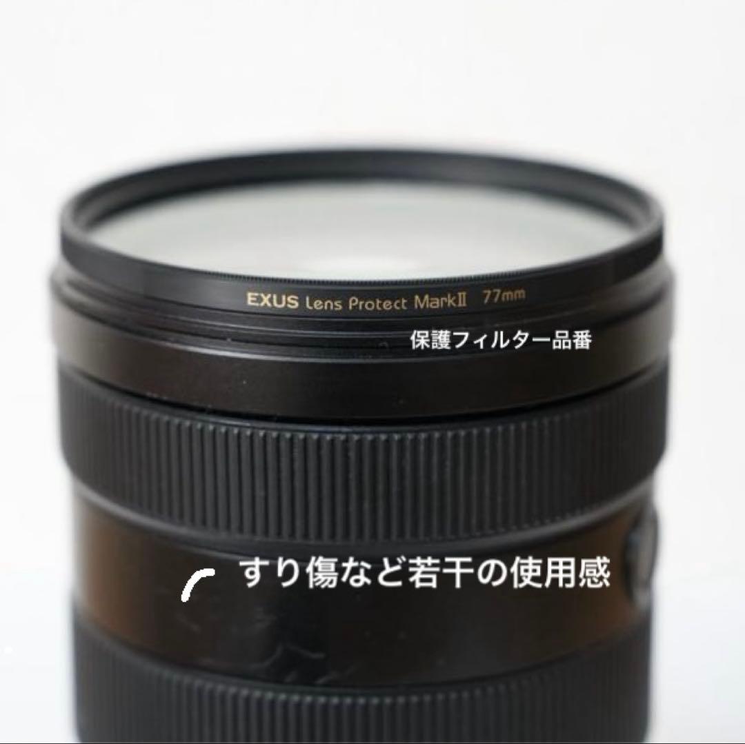 ソニー SONY FE 24-105mm F4 G OSS SEL24105G