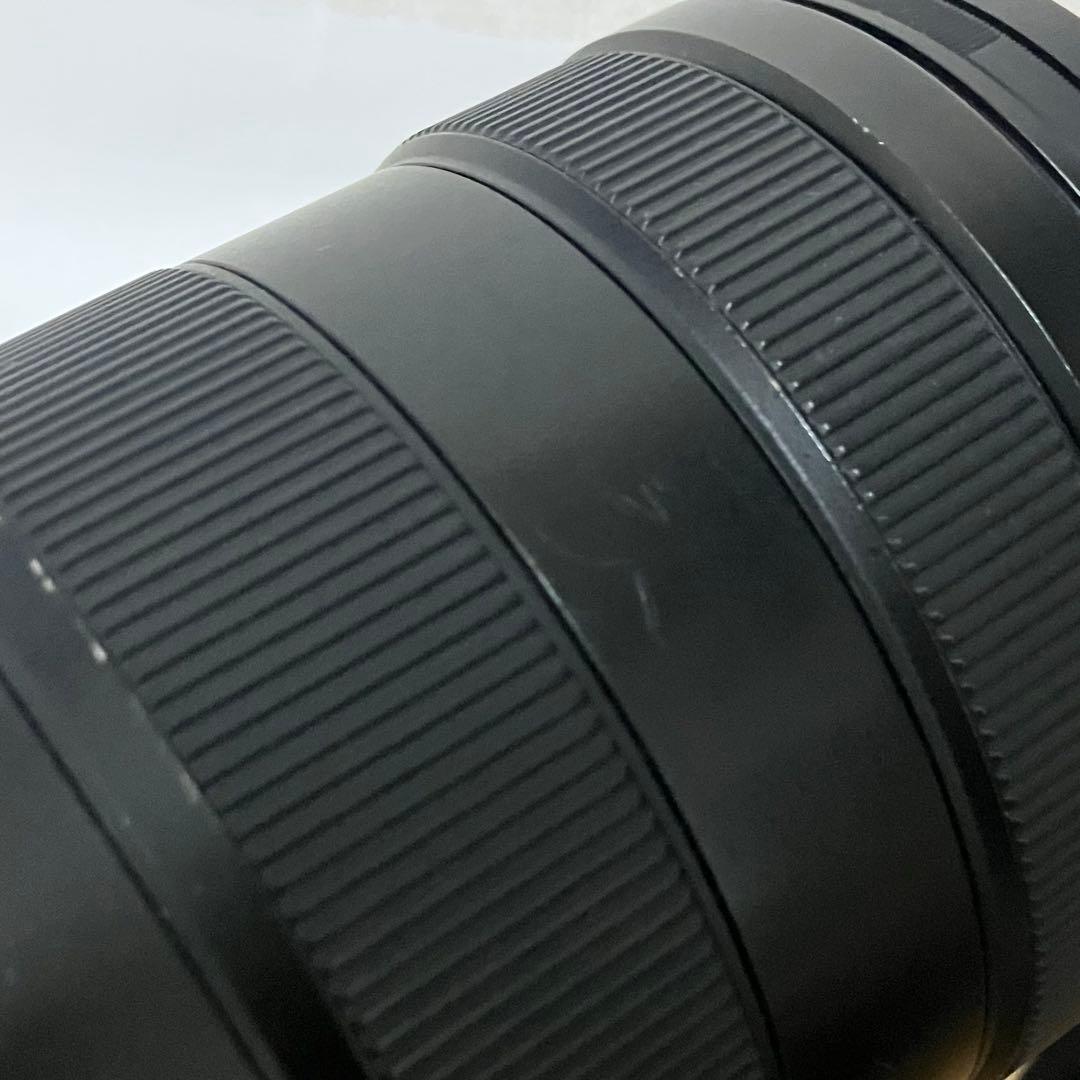 ソニー SONY FE 24-105mm F4 G OSS SEL24105G