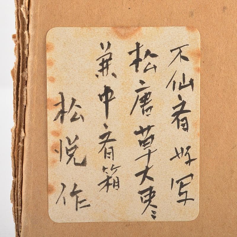 いずも渡辺松悦作　松唐草蒔絵　大棗　堀内宗完(兼中斎)極め箱　DR7197