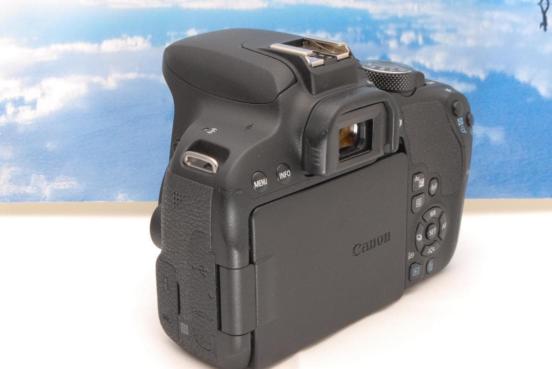 ✨コスパ最強セット✨Canon EOS Kiss X9i 手振れ補正レンズ 2本