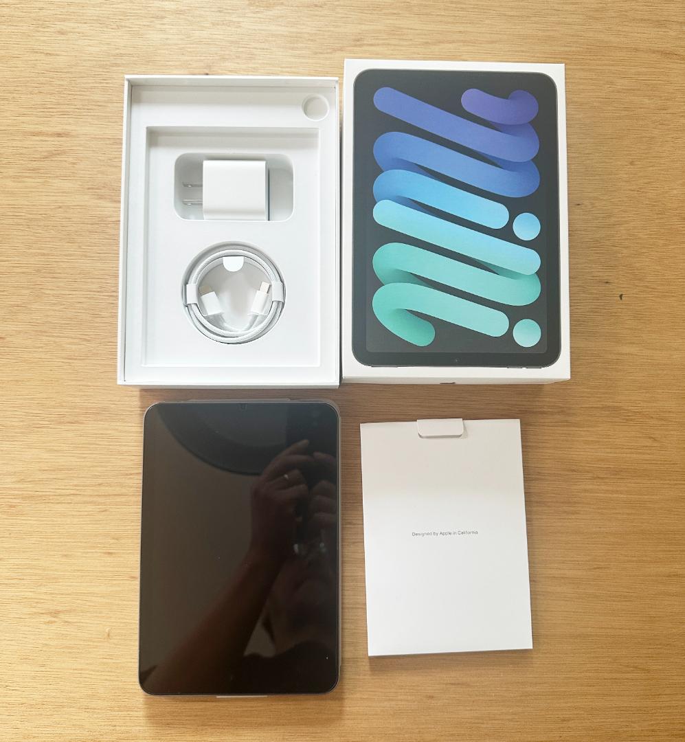 美品 iPad mini A7 PRO 256GB スペースグレイ 保証あり